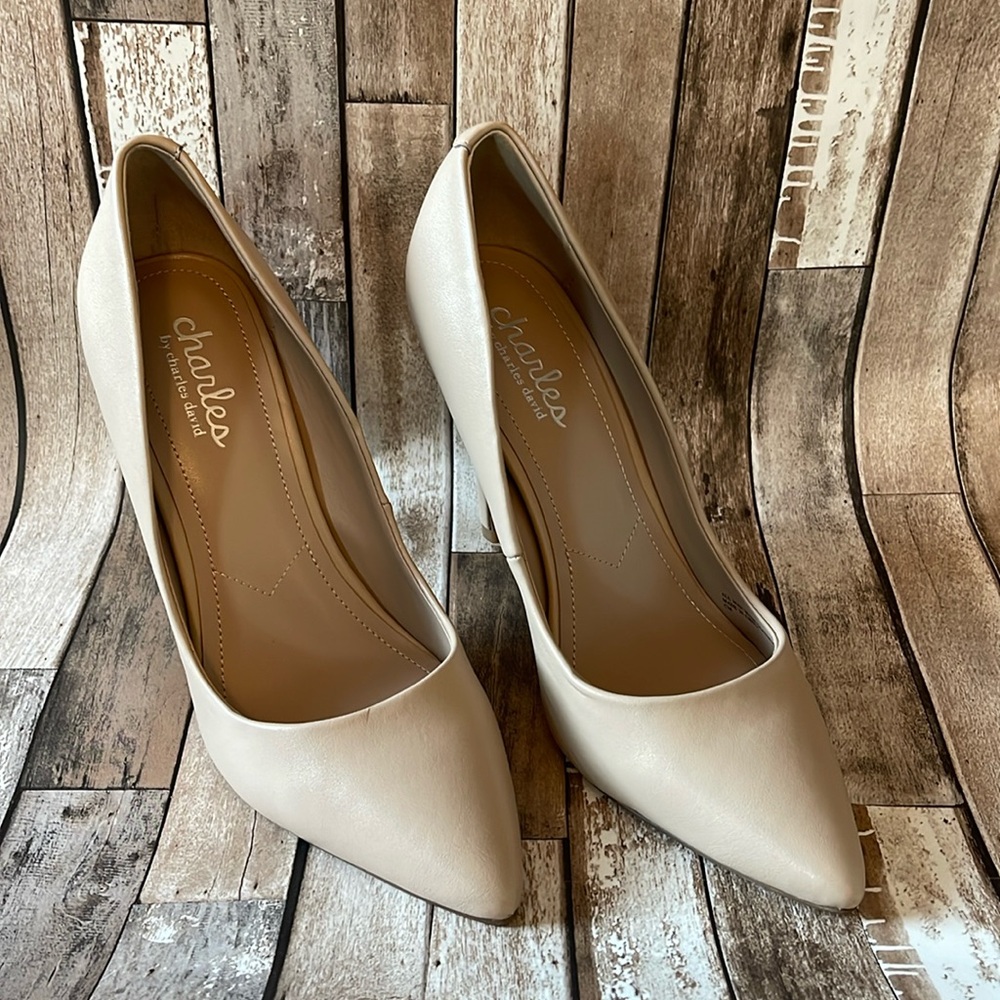 Charles by Charles David Stilettos